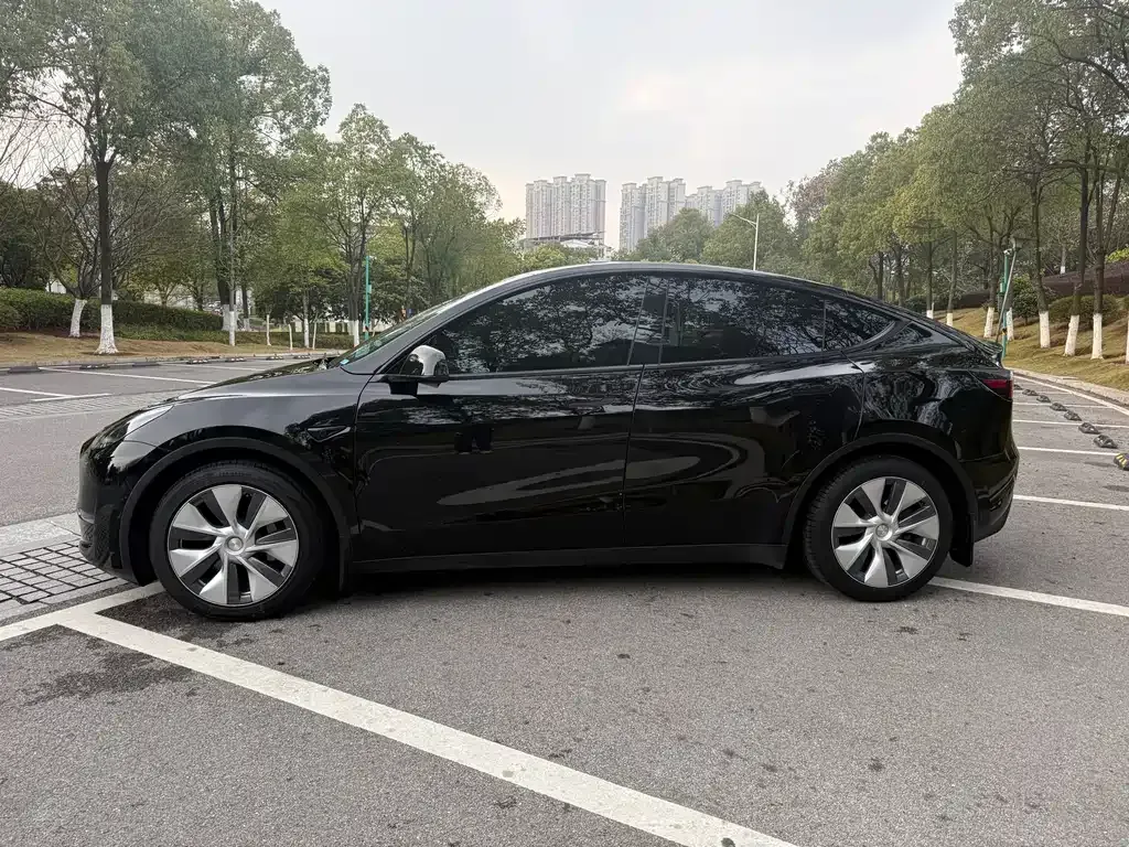 Tesla Model Y 2021 из CN, фото 7