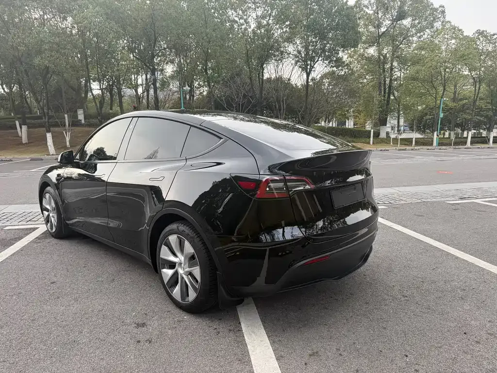 Tesla Model Y 2021 из CN, фото 8