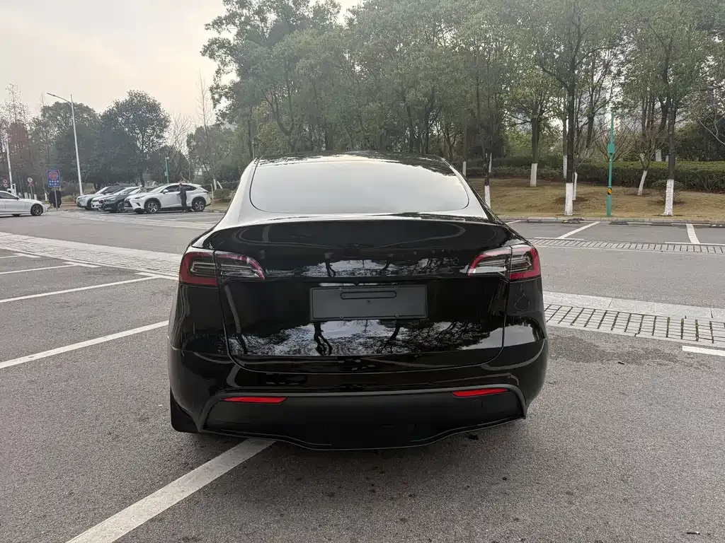 Tesla Model Y 2021 из CN, фото 4