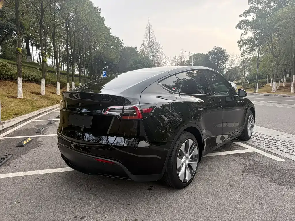 Tesla Model Y 2021 из CN, фото 5