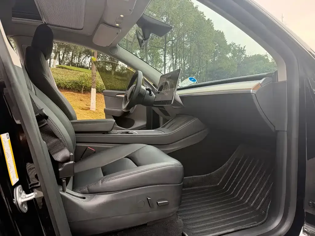 Tesla Model Y 2021 из CN, фото 3