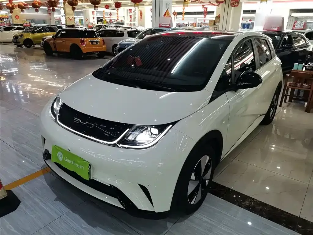 BYD Dolphin 2023 из CN, фото 2