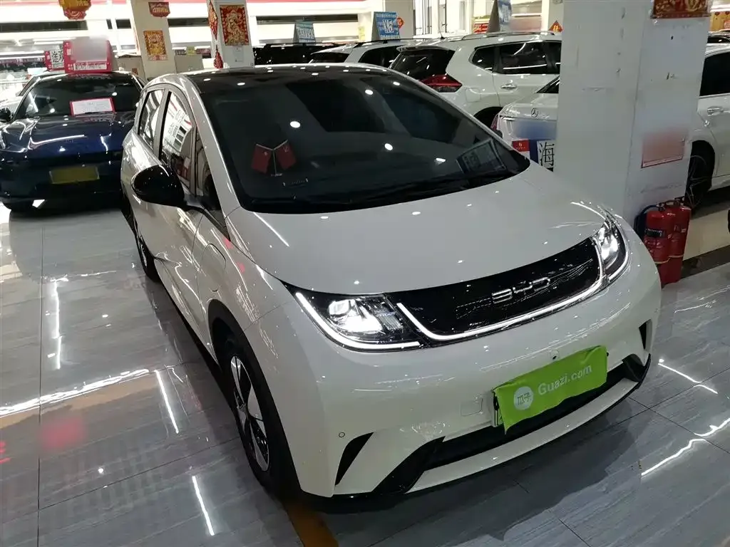 BYD Dolphin 2023 из CN, фото 4
