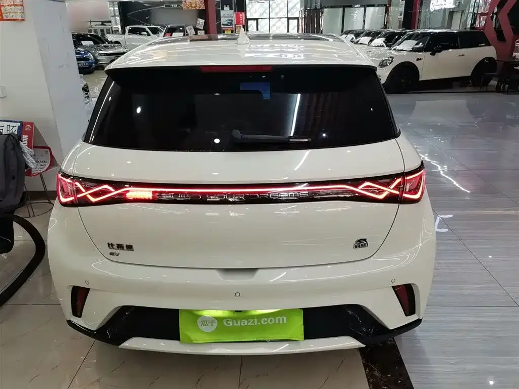BYD Dolphin 2023 из CN, фото 6