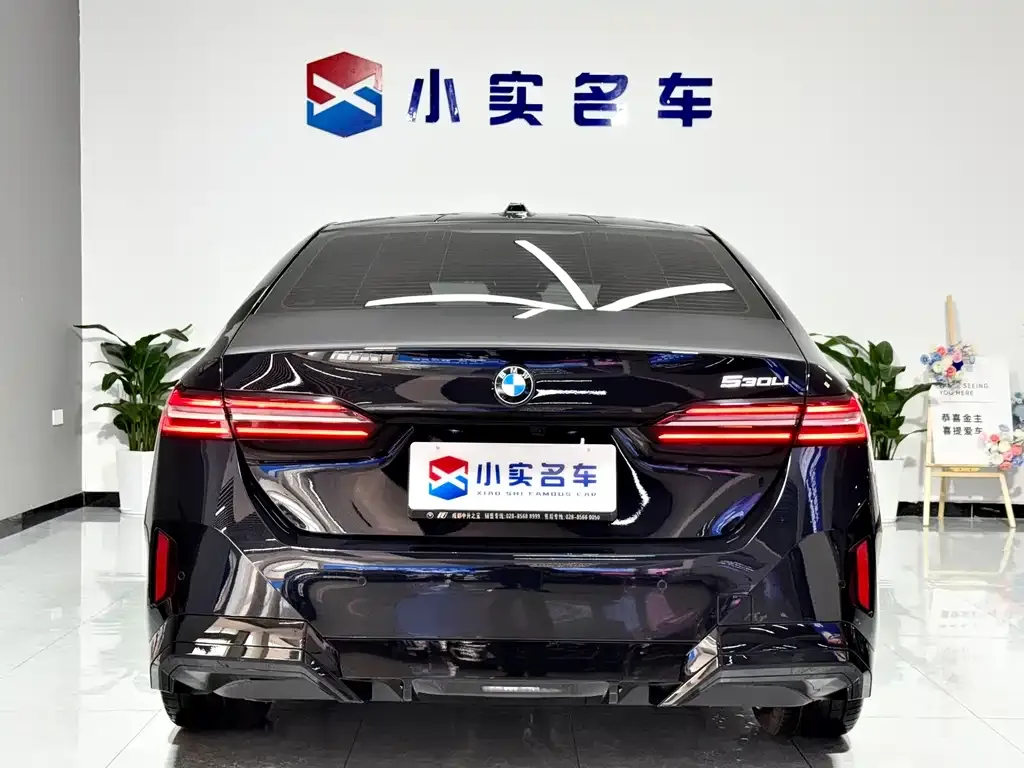 BMW 5 Series 2025 из CN, фото 7