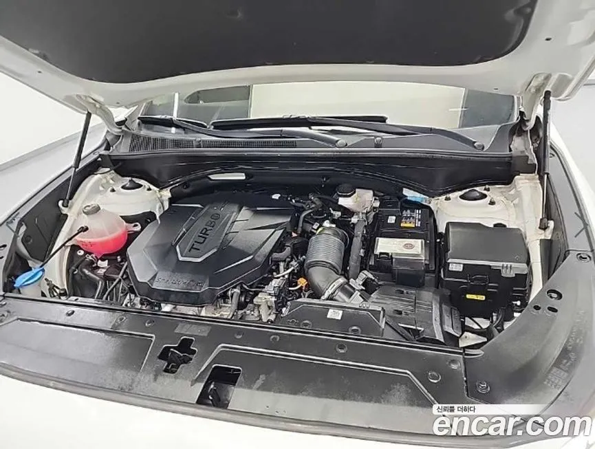 Hyundai Santafe 2021 из KR, фото 6