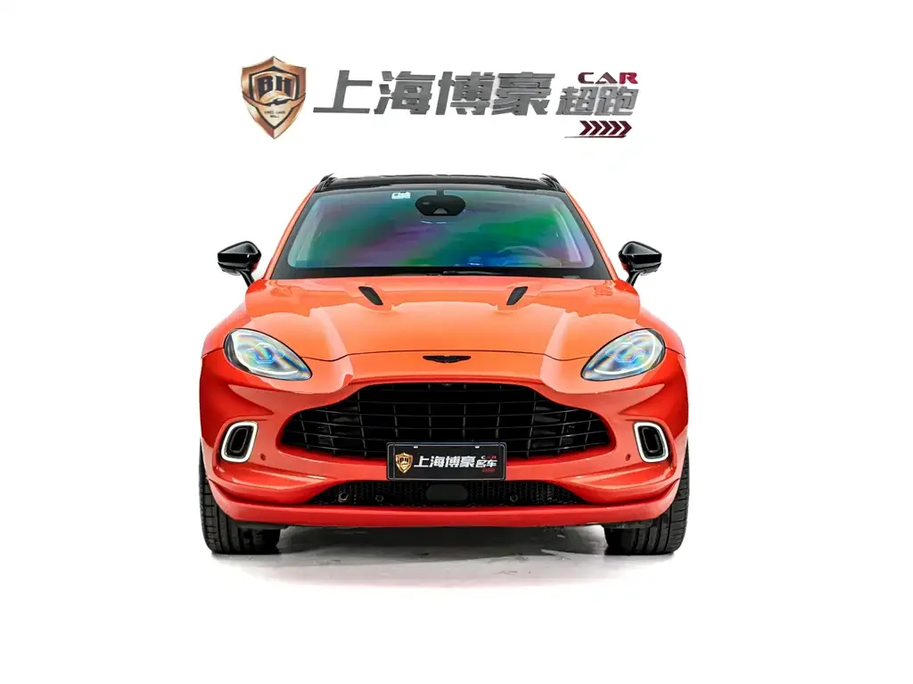 Aston Martin DBX 2021 из CN, фото 5