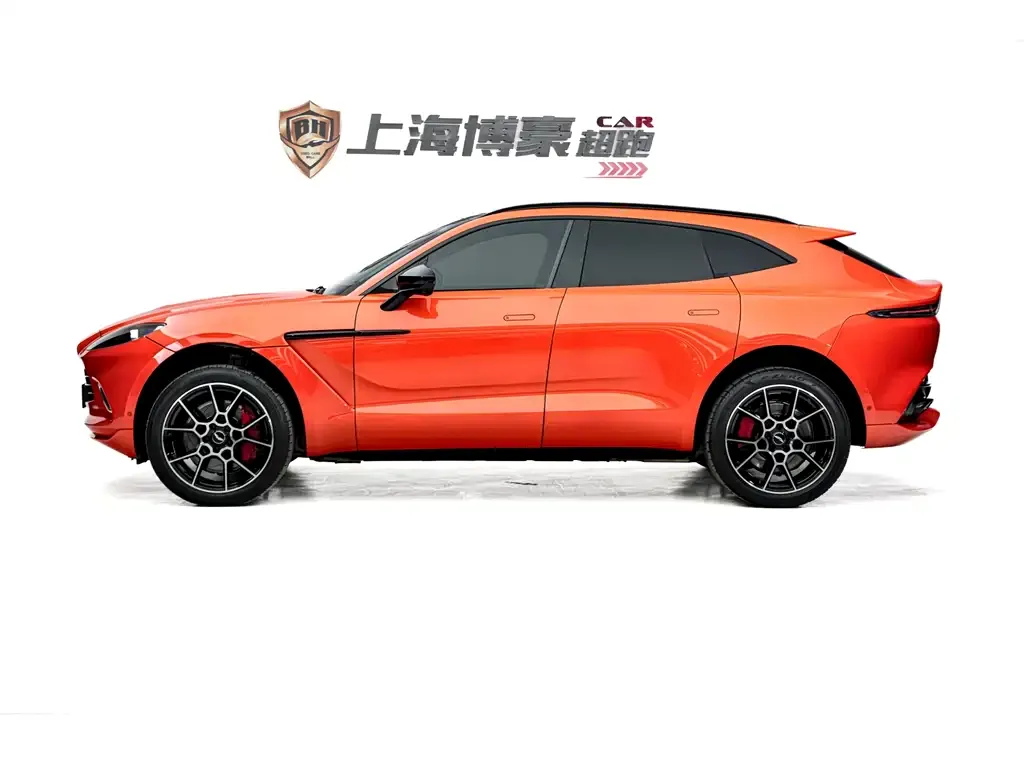Aston Martin DBX 2021 из CN, фото 6