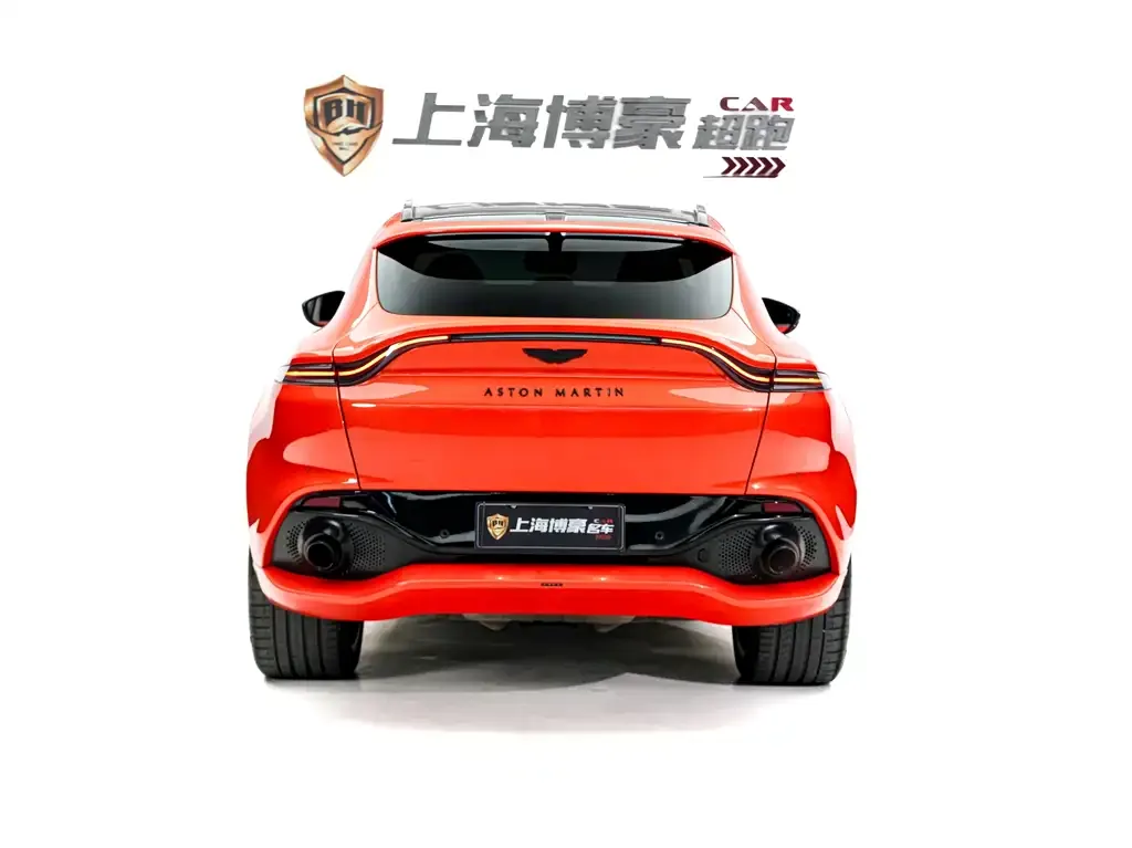 Aston Martin DBX 2021 из CN, фото 2