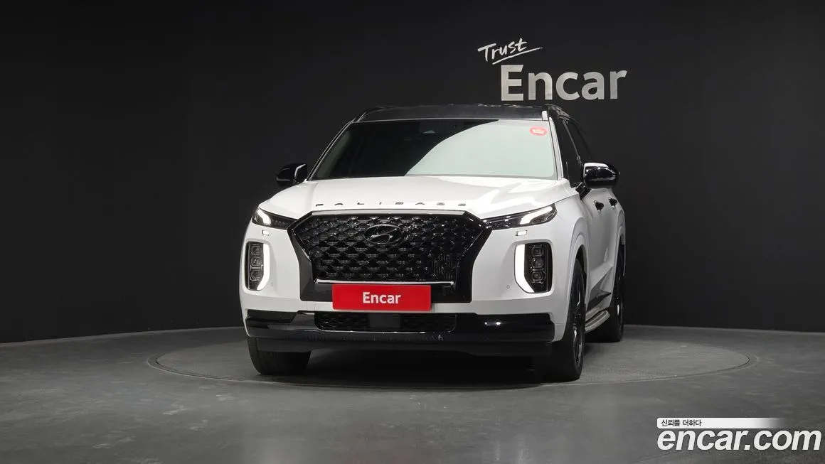 Hyundai Palisade — фото 8