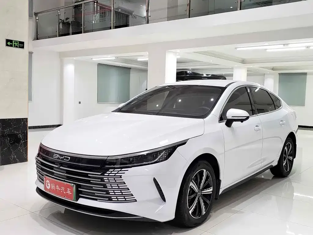 BYD Destroyer 05 2024 из CN, фото 1