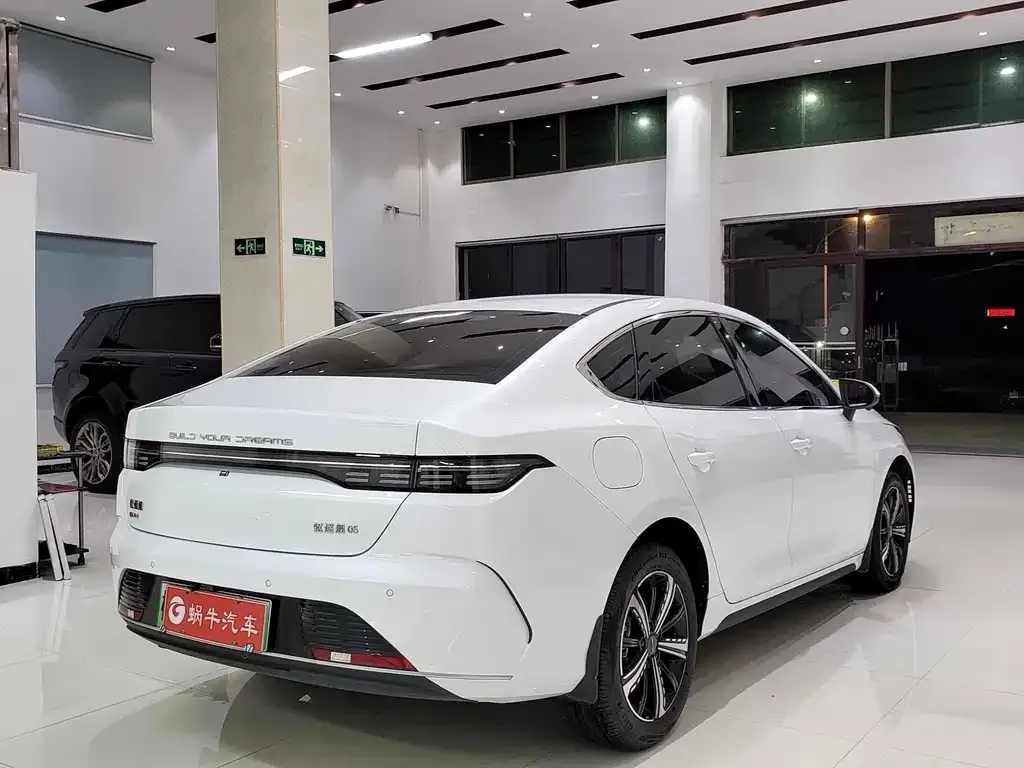 BYD Destroyer 05 2024 из CN, фото 8