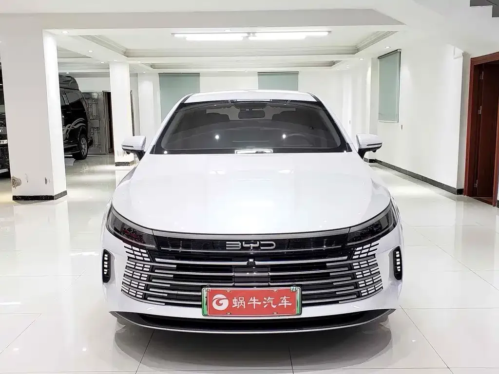 BYD Destroyer 05 2024 из CN, фото 10