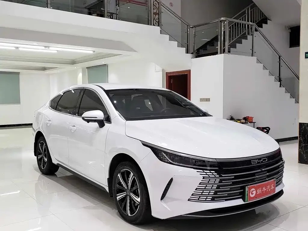 BYD Destroyer 05 2024 из CN, фото 5