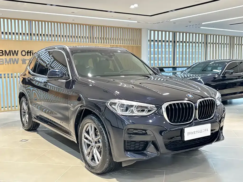 BMW X3 2021 из CN, фото 9