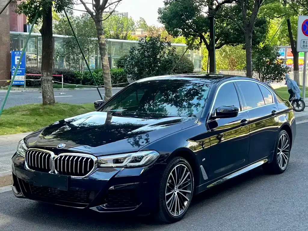 BMW 5 Series 2021 из CN, фото 1