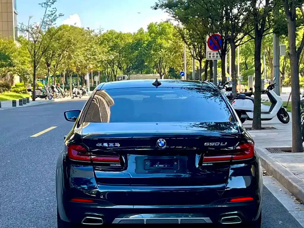 BMW 5 Series 2021 из CN, фото 5