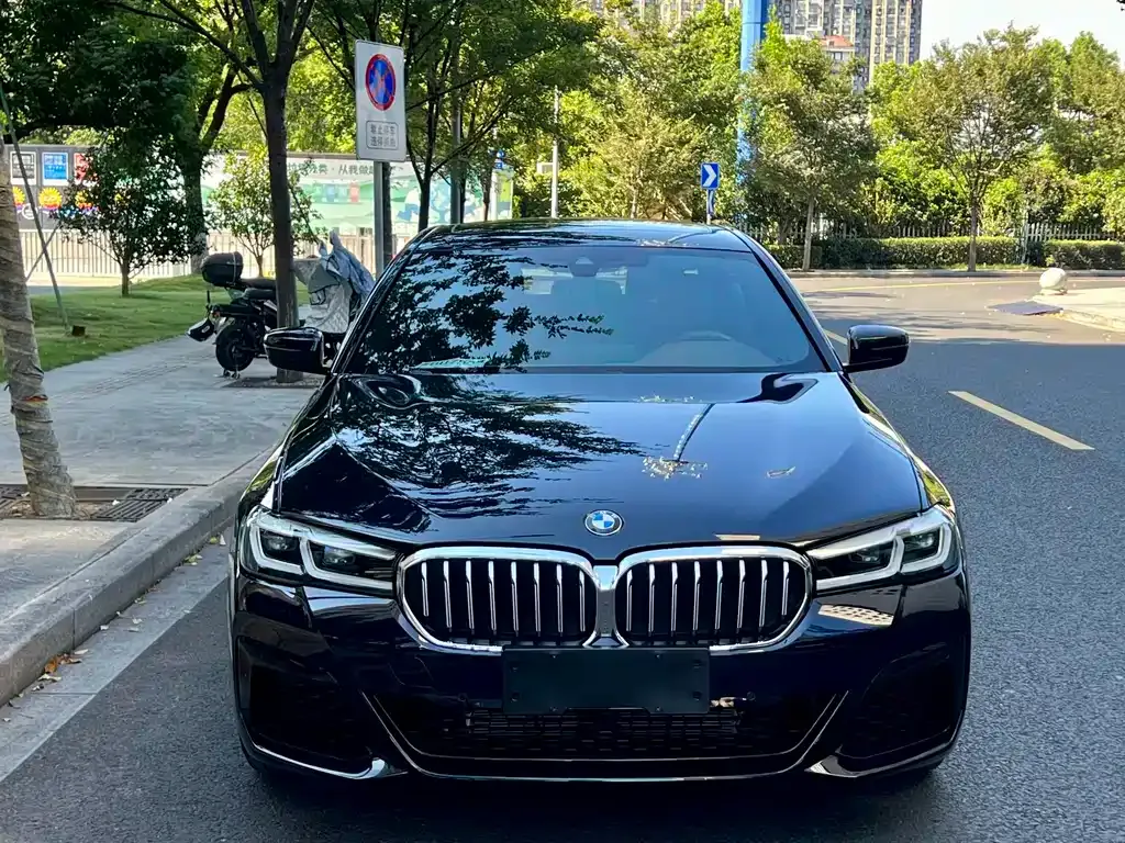 BMW 5 Series 2021 из CN, фото 8