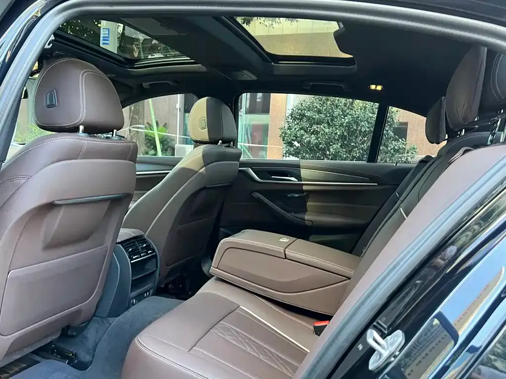 BMW 5 Series 2021 из CN, фото 10