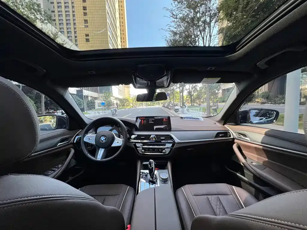 BMW 5 Series 2021 из CN, фото 3