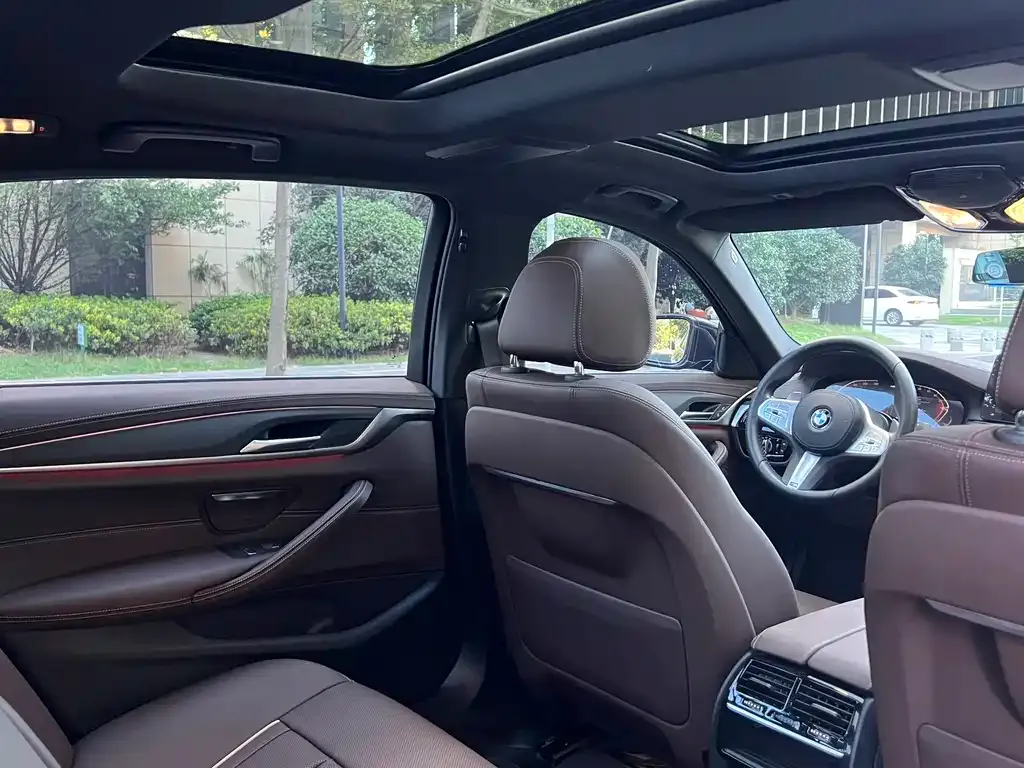 BMW 5 Series 2021 из CN, фото 4