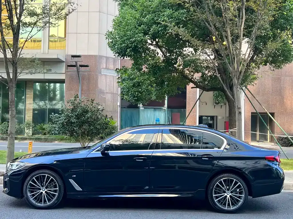 BMW 5 Series 2021 из CN, фото 7