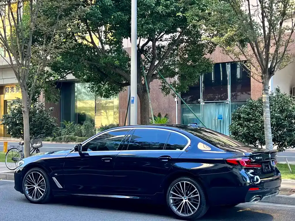 BMW 5 Series 2021 из CN, фото 9