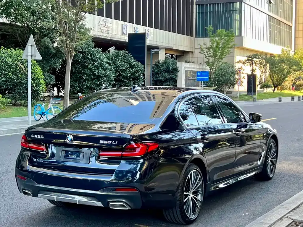 BMW 5 Series 2021 из CN, фото 6