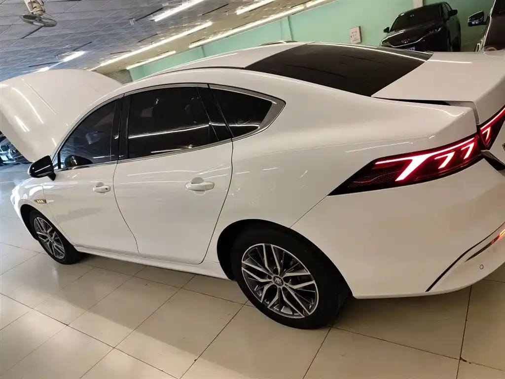 BYD Qin PLUS — фото 5