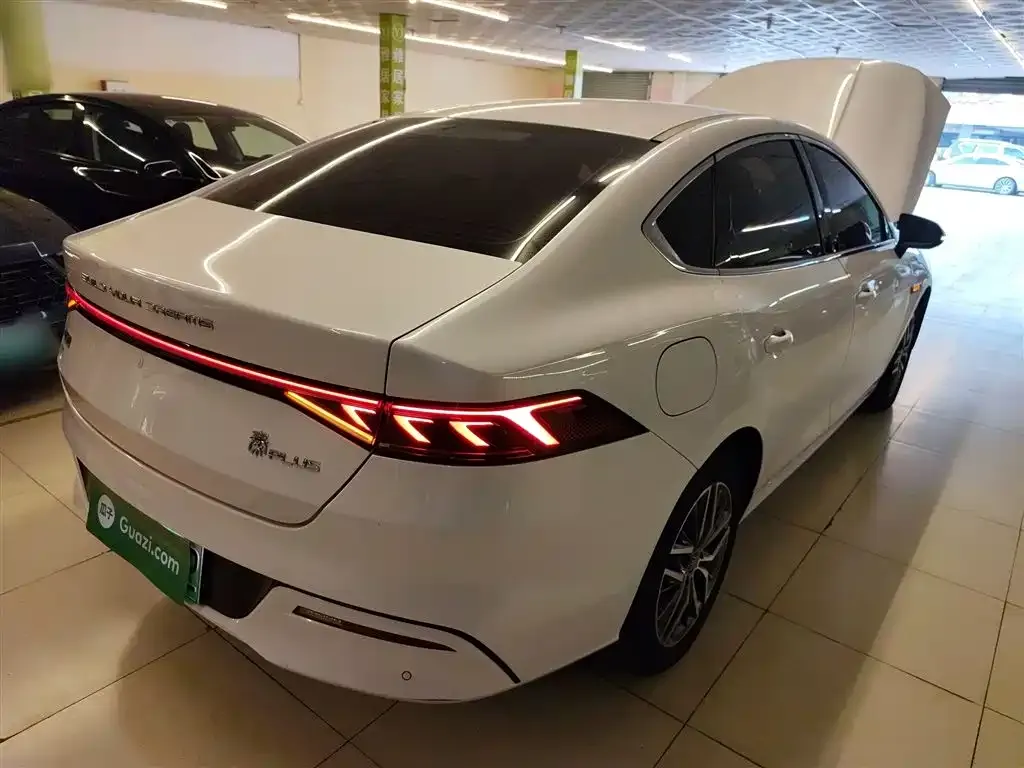 BYD Qin PLUS — фото 10
