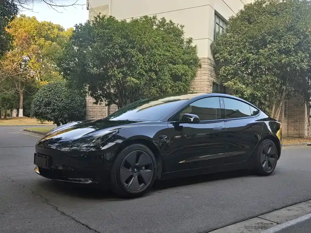 Tesla Model 3 2021 из CN, фото 1