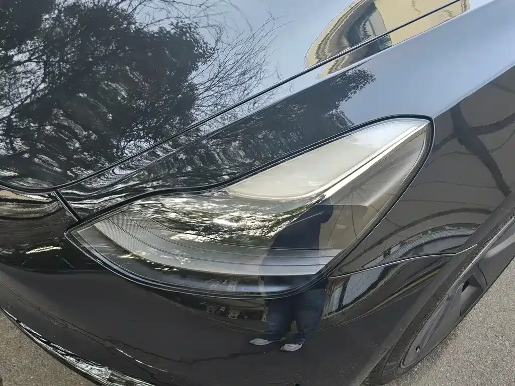 Tesla Model 3 2021 из CN, фото 7