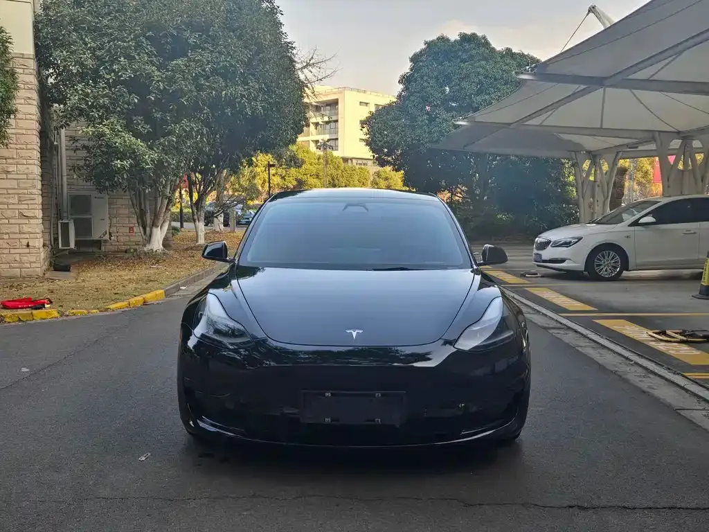Tesla Model 3 2021 из CN, фото 2