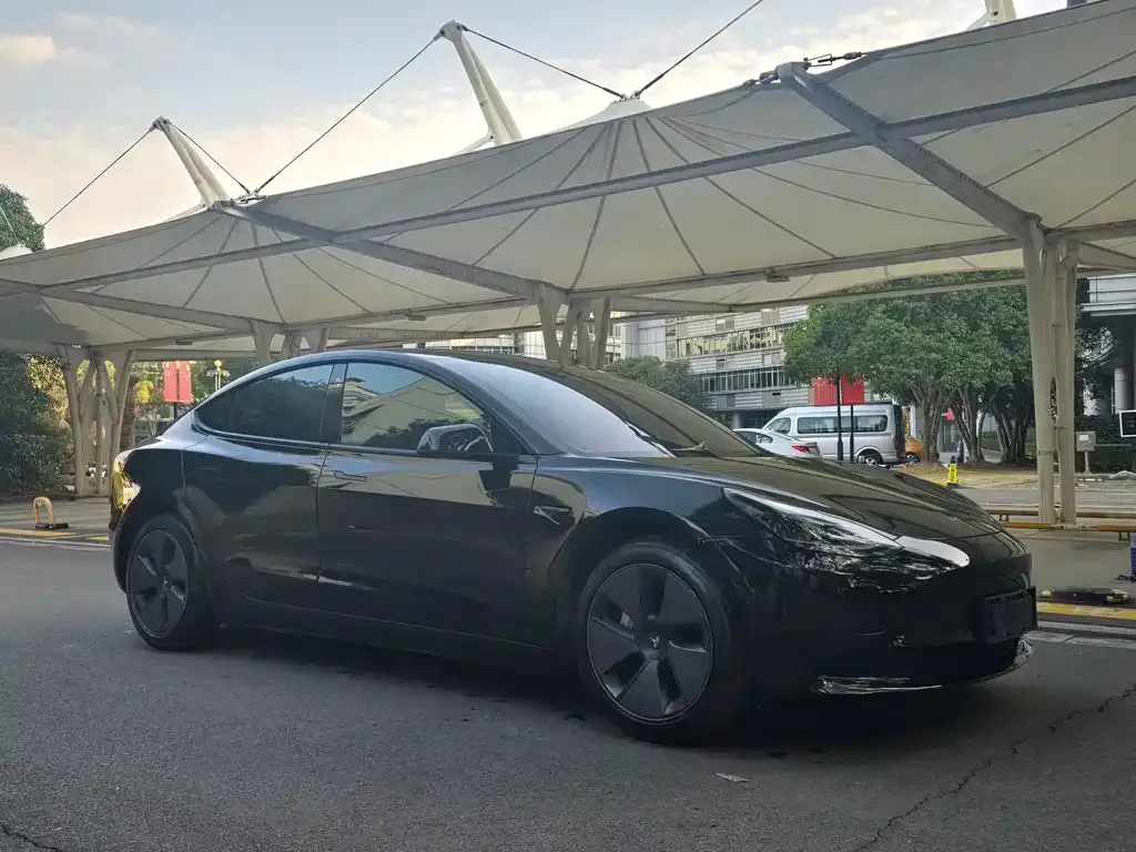 Tesla Model 3 2021 из CN, фото 6