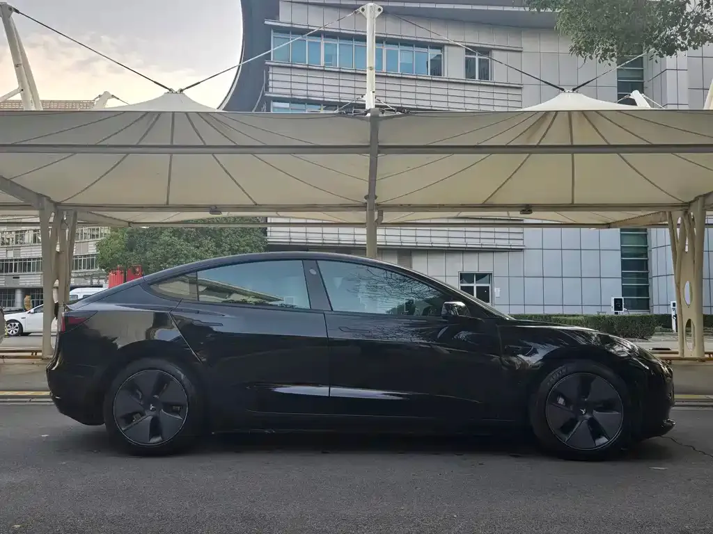 Tesla Model 3 2021 из CN, фото 4