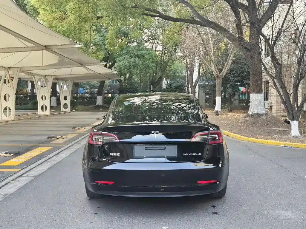 Tesla Model 3 2021 из CN, фото 8