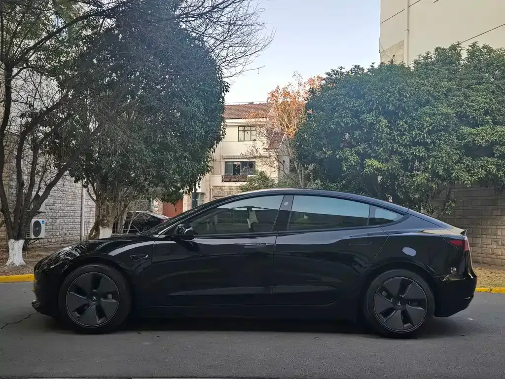 Tesla Model 3 2021 из CN, фото 3
