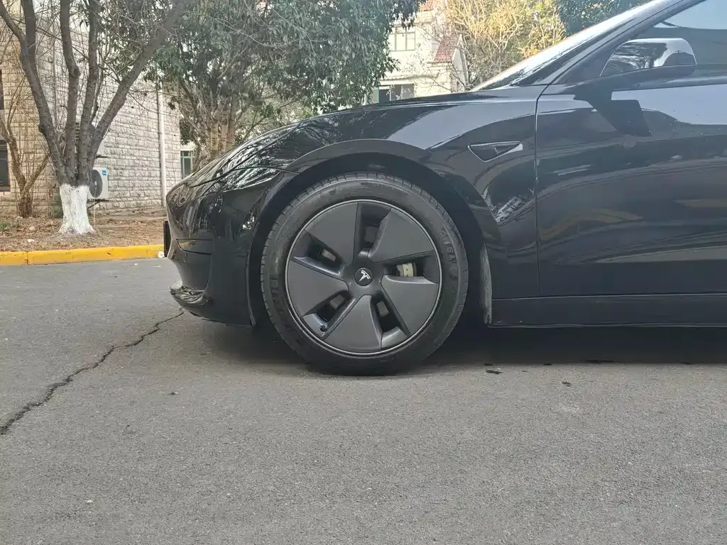 Tesla Model 3 2021 из CN, фото 5