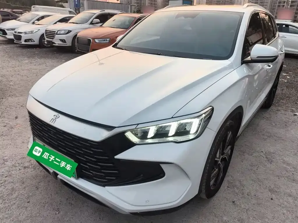 BYD Pro New Energy 2024 из CN, фото 1