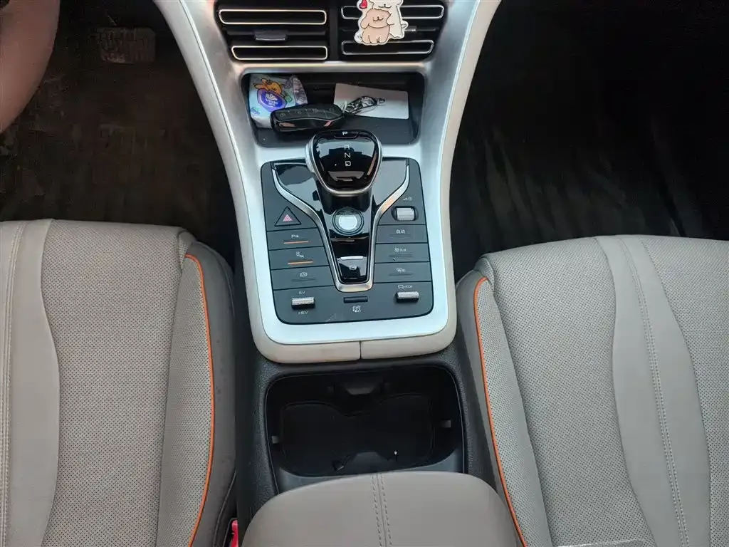BYD Pro New Energy 2024 из CN, фото 6
