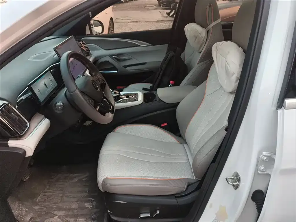 BYD Pro New Energy 2024 из CN, фото 7