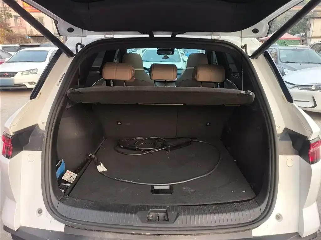 BYD Pro New Energy 2024 из CN, фото 9
