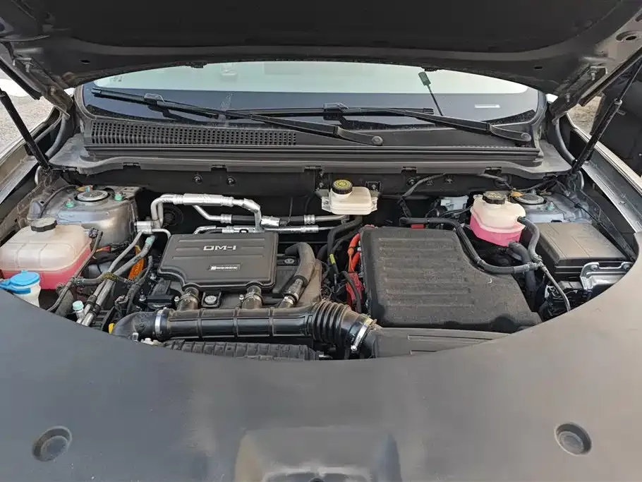 BYD Pro New Energy 2024 из CN, фото 9