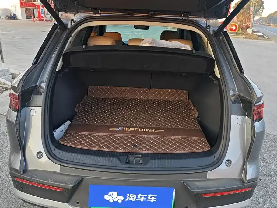 BYD Pro New Energy 2024 из CN, фото 5