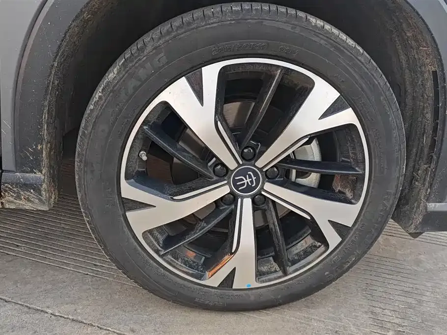 BYD Pro New Energy 2024 из CN, фото 3