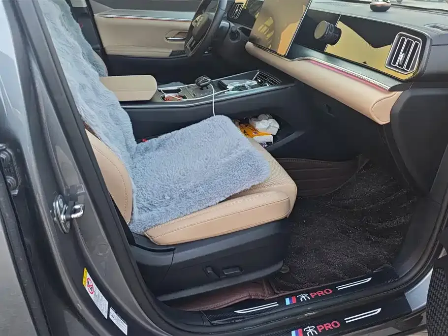 BYD Pro New Energy 2024 из CN, фото 4