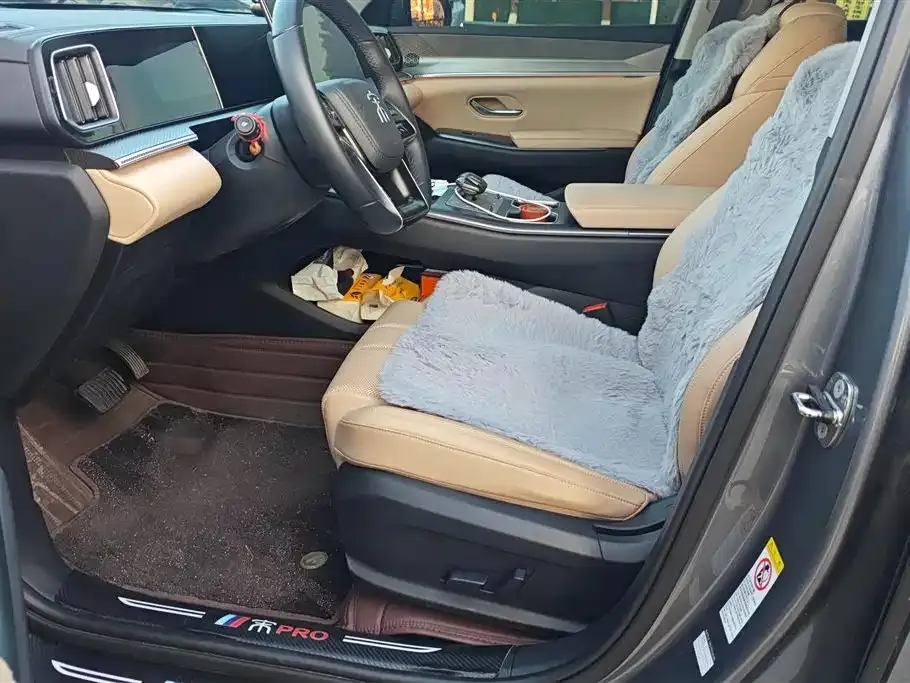BYD Pro New Energy 2024 из CN, фото 6