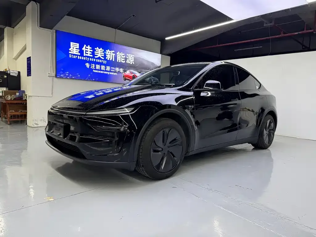 Tesla Model Y 2025 из CN, фото 1
