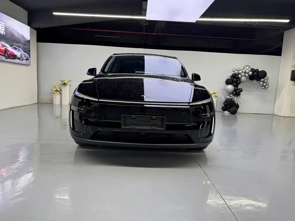 Tesla Model Y 2025 из CN, фото 6