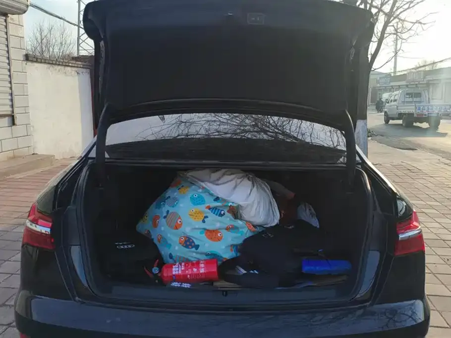 Audi A6L 2024 из CN, фото 4